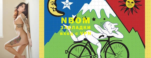 индика Абинск