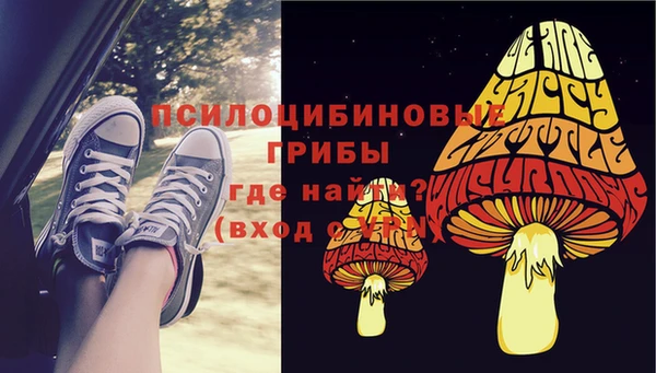 индика Абинск