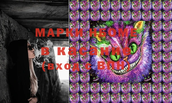 индика Абинск