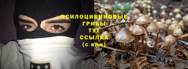бошки Алексеевка